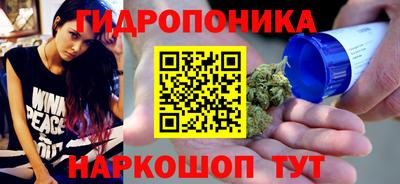 индика Ирбит