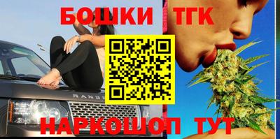 индика Ирбит
