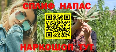 индика Ирбит