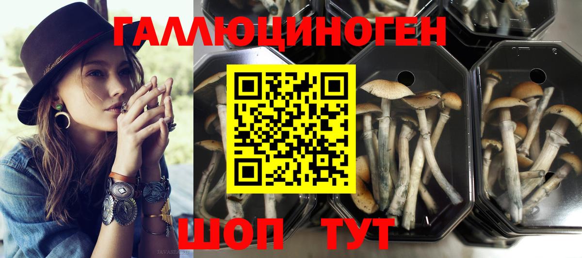 Галлюциногенные грибы Magic Shrooms  дарнет шоп  Ливны  Вход с VPN 
